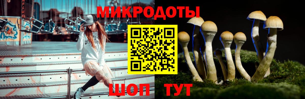 Галлюциногенные грибы мицелий Сафоново
